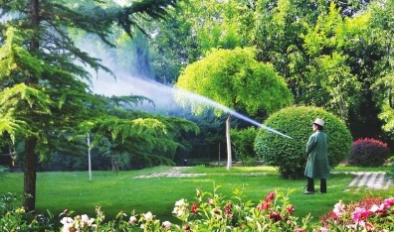 家庭护理服务包括哪些内容